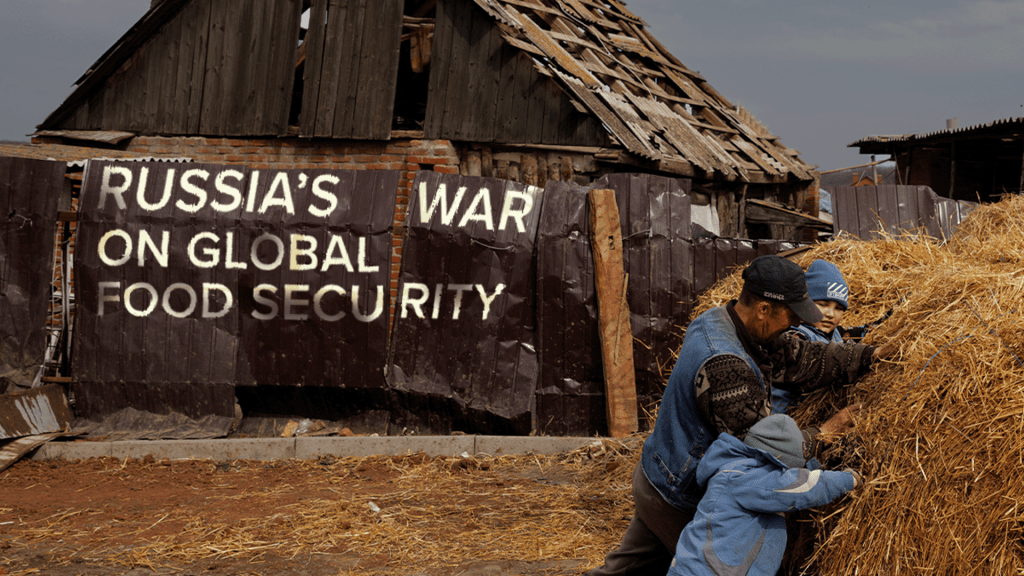 The Global Food Crisis: Ukraine’s Role&nbsp;Explained