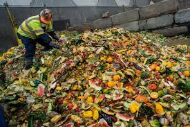 The Food We&nbsp;Waste