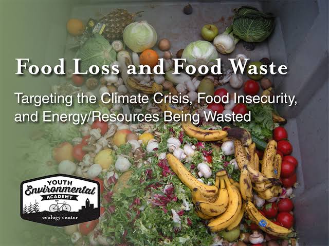 The Global Crisis of Food Waste: Shocking Statistics and&nbsp;Solutions