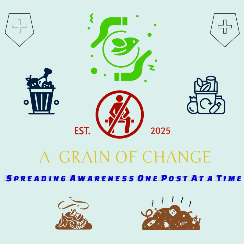 A Grain of Change – Blog on Food Insecurity